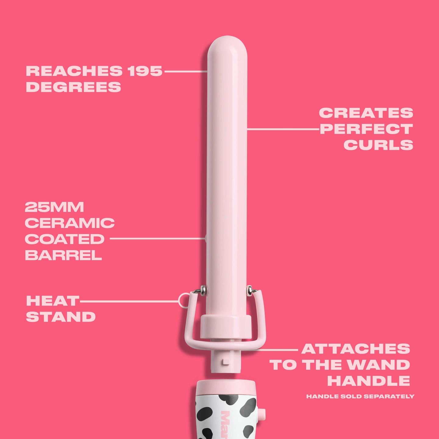 Dalmatian Starter Kit